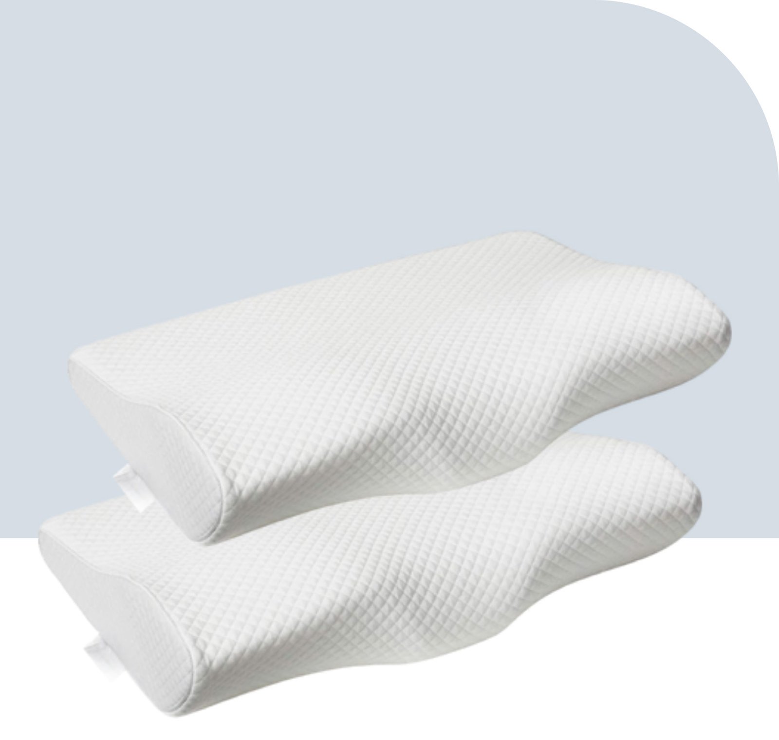Butterfly Pillow